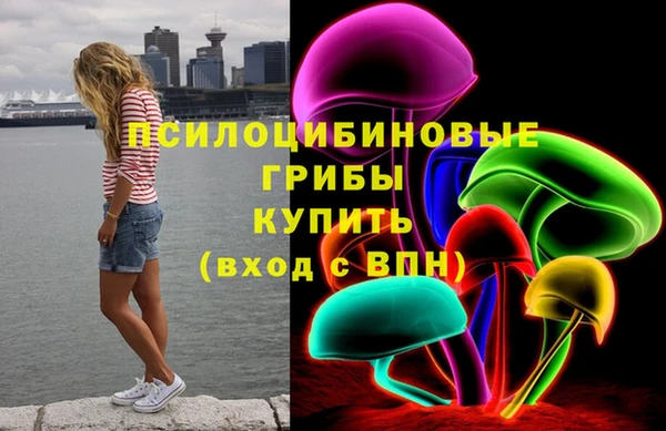 дмт Снежинск