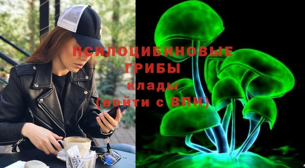 мескалин Снежногорск