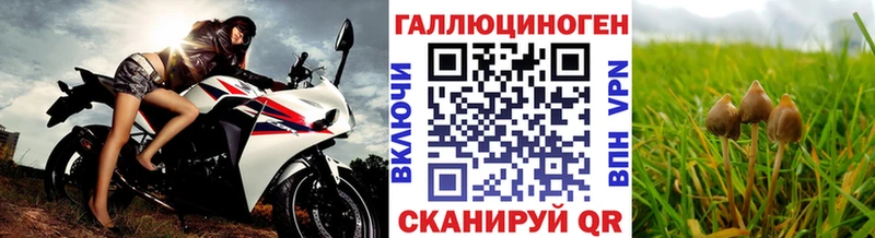 Псилоцибиновые грибы MAGIC MUSHROOMS  закладка  Магнитогорск 